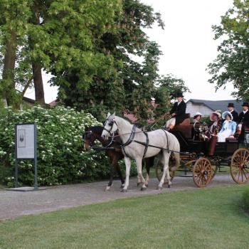 Powóz zaprzęgnięty w dwa konie - biały i kasztanowy wjeżdża alejką. Wokół drzewa i zielona trawa.