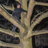 Mężczyzna na drzewie